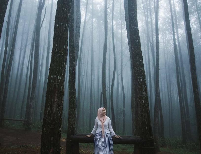 Wisata Jogja